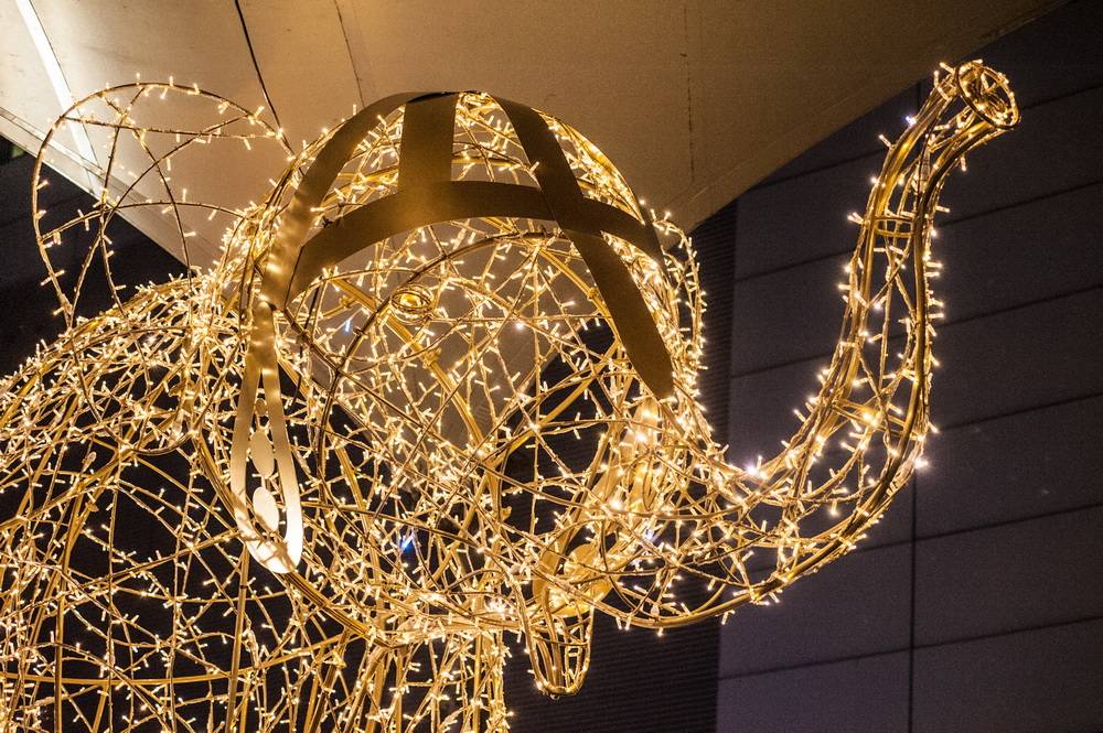  Der „Winter-Tuffi“ wird am Mittwoch auf dem Alten Markt aufgestellt. 