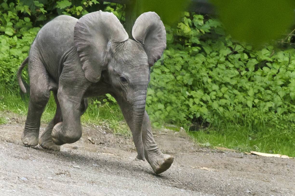 Neuer Wuppertal-Kalender jetzt erhältlich