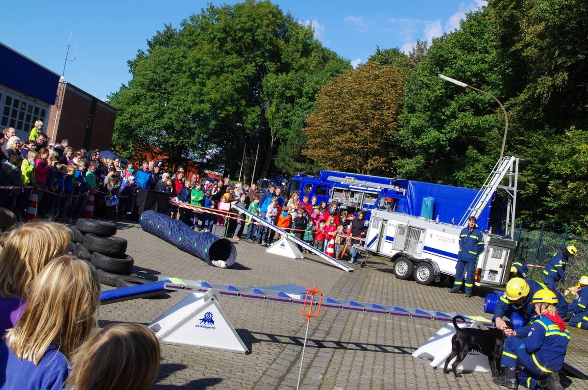  Die Vorführung der Rettungshunde stieß auf großes Interesse. 