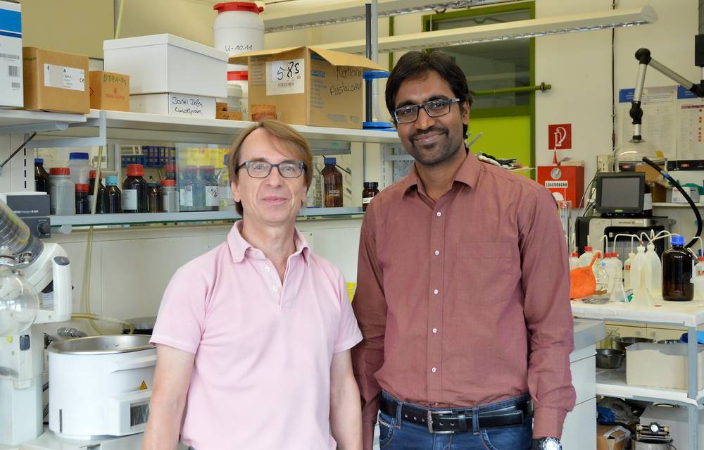 Humboldt-Stipendiat aus Indien