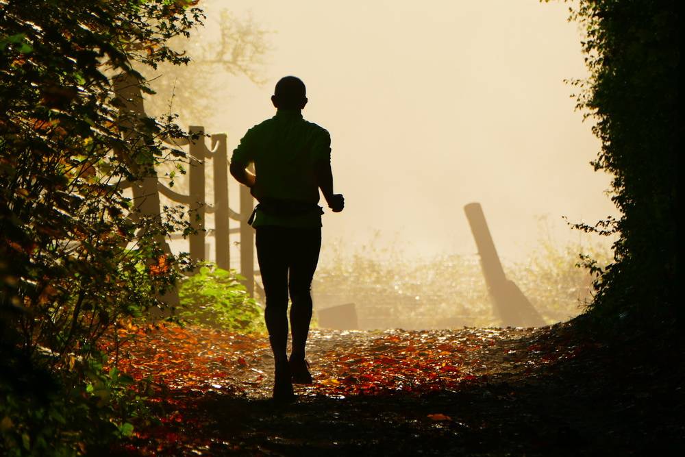 „Was für ein tolles Licht“...