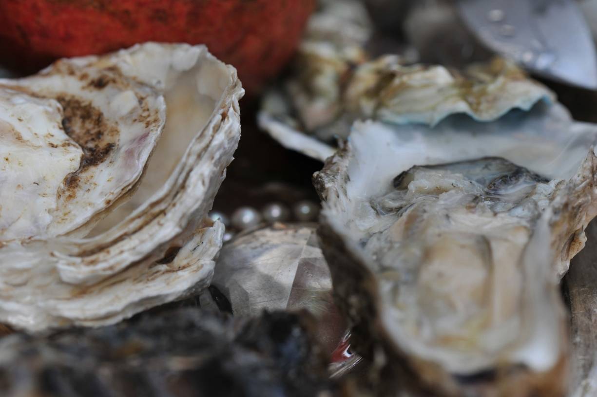 Sonntag enden die Austern