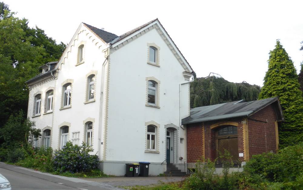 Bäume müssen Wohntraum weichen