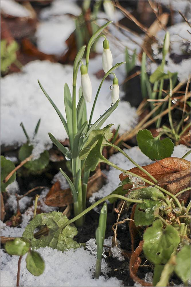  Die Natur bahnt sich ihren Weg. 