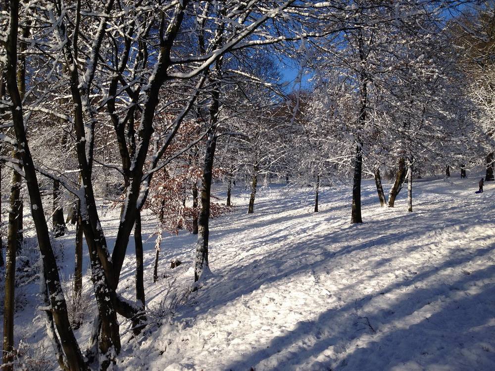 Viel Regen zum Jahresende