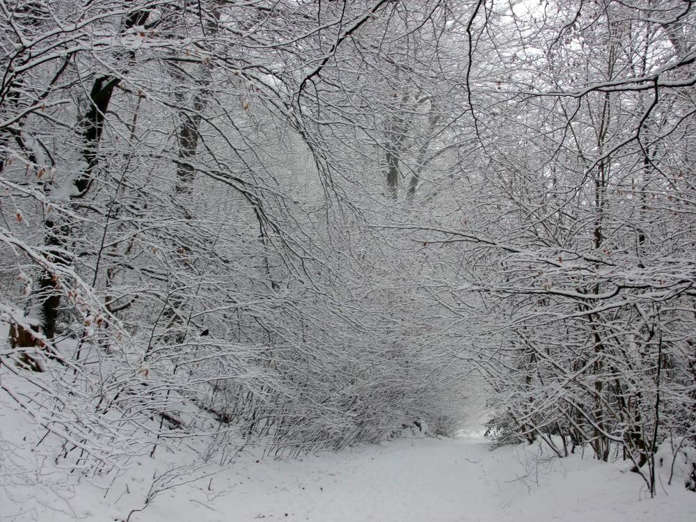  Ganz in Weiß: die Wuppertaler Südhöhen. 