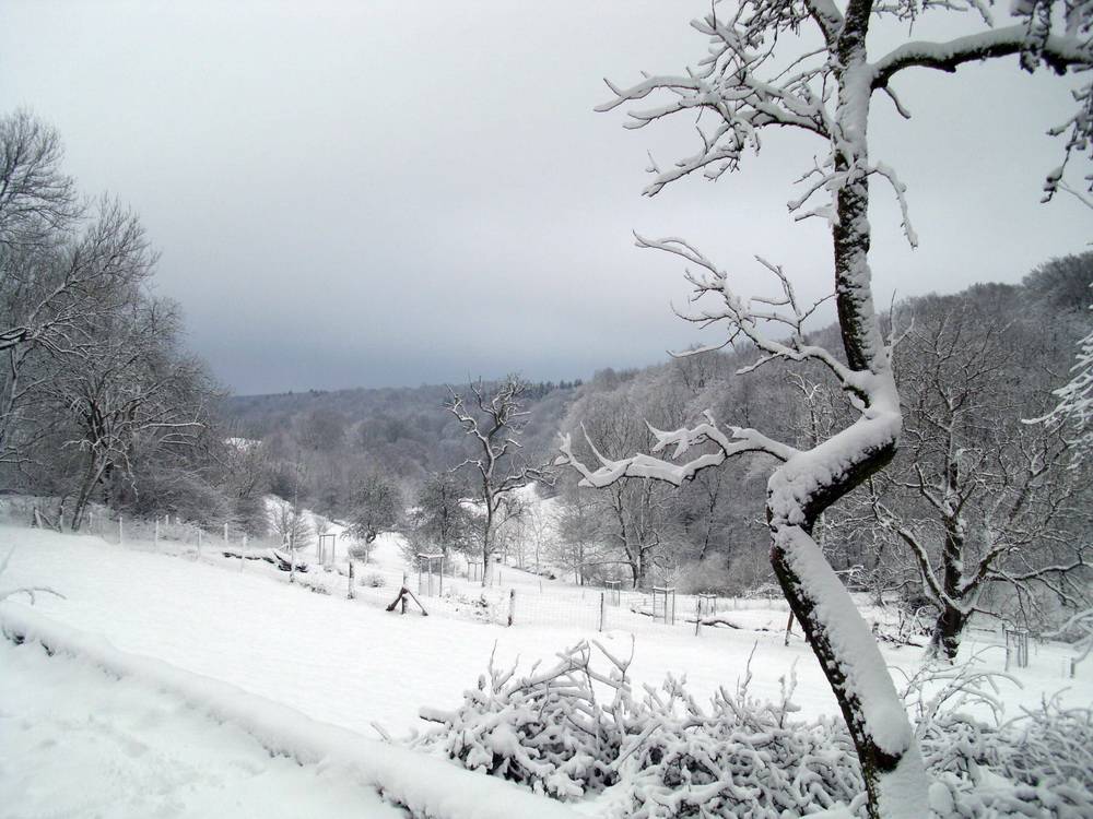 Leser-Foto: Wie in den Alpen