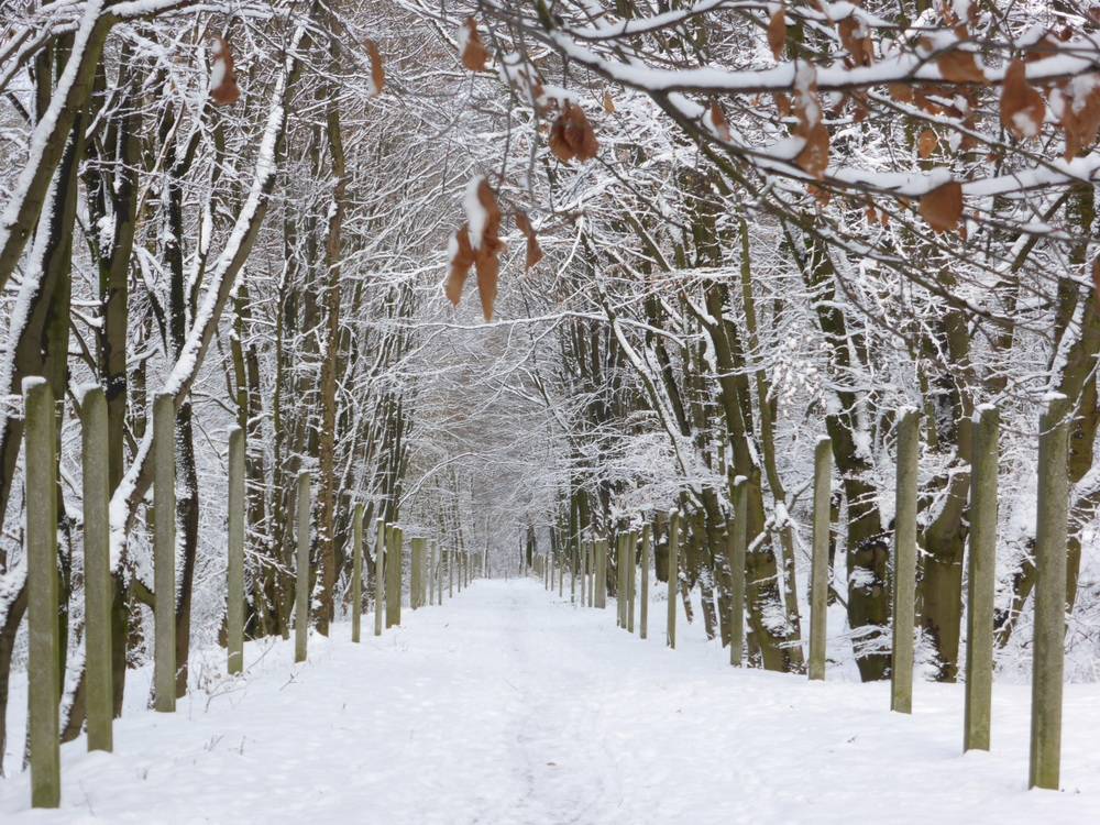 Leserfoto: Februar-Eindruck ...