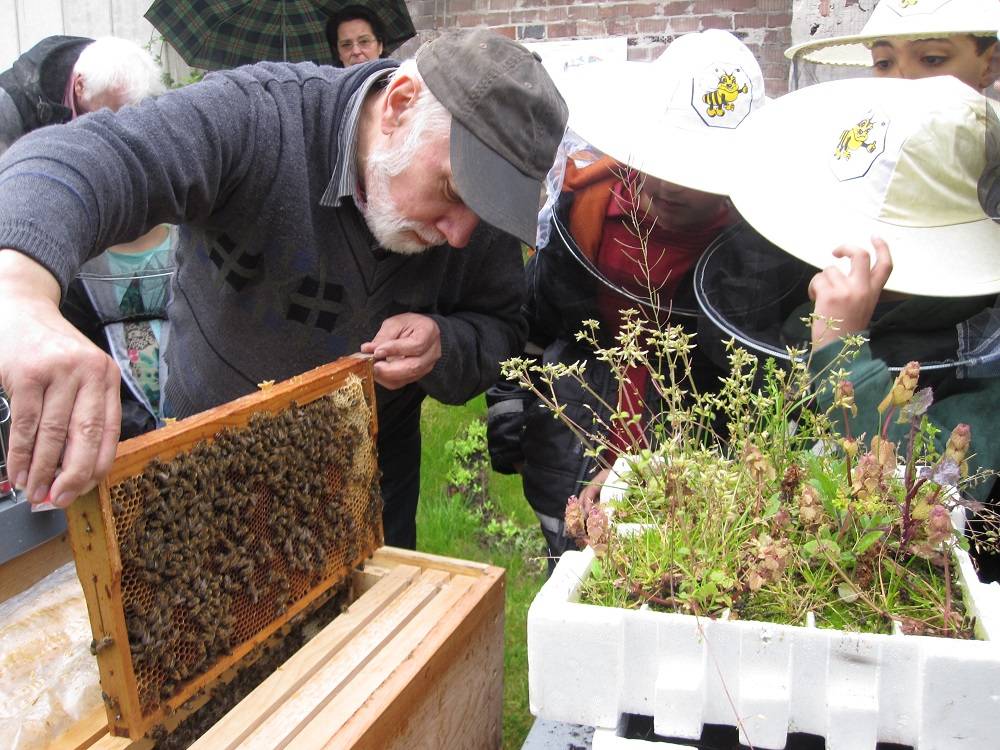Gärten mitten (in) der Stadt