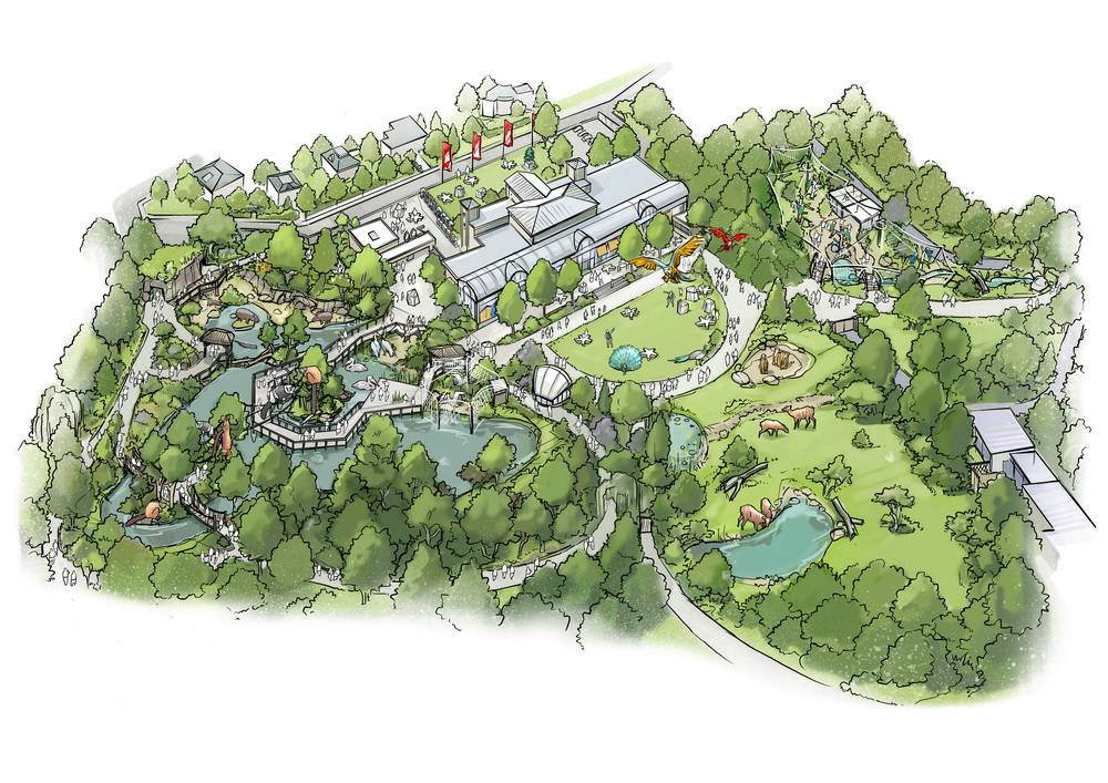  Ein Blickfang direkt hinter dem Zoo-Eingang: Die neue Sumpflandschaft mit „Skywalk“ (links im Bild) ersetzt den bisherigen großen Teich. 