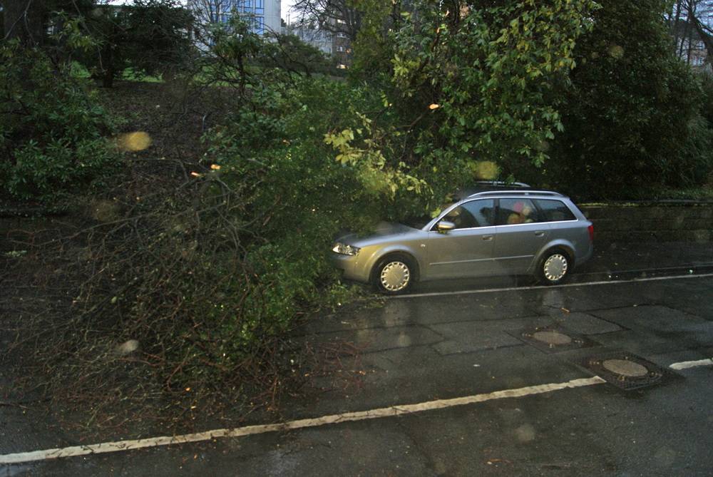  In der Barmer Ottostraße knickte ein Ast eines Baumes ab und landete auf einem Auto. 