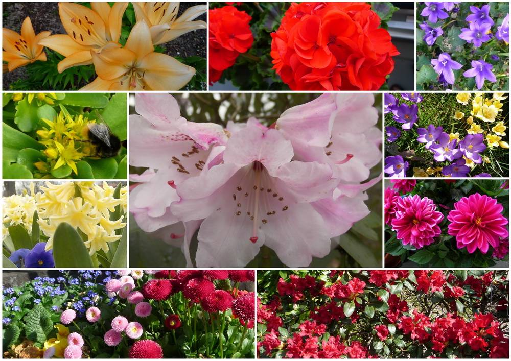  Bunter geht es kaum. 