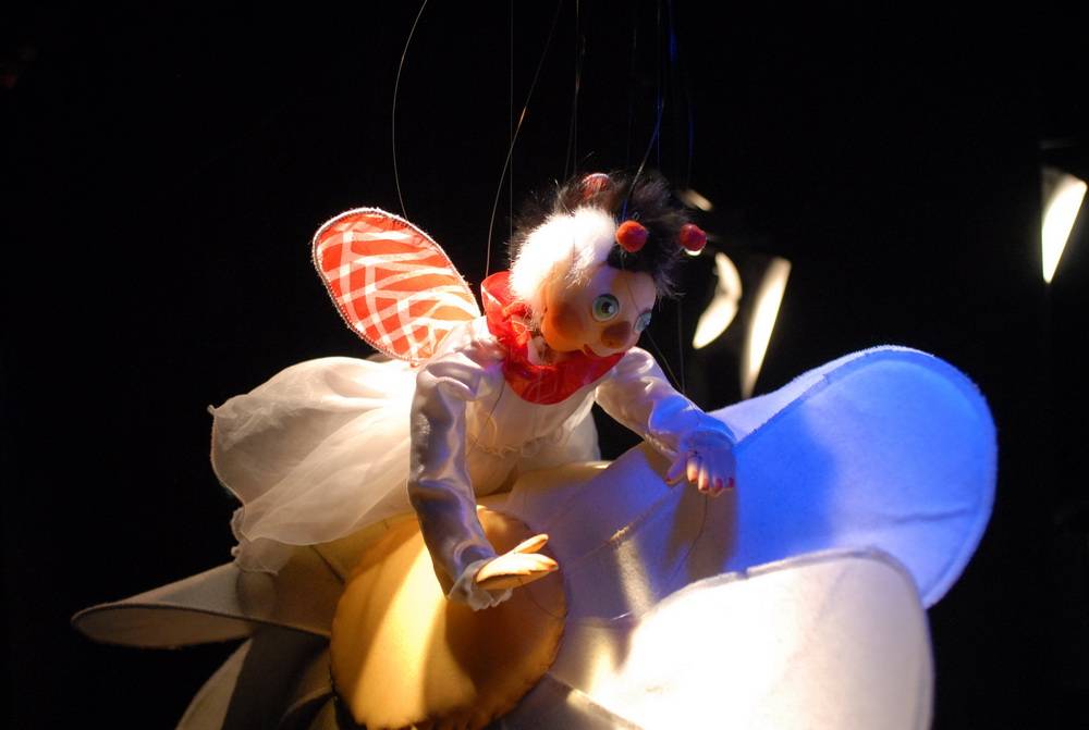  Brummel erlebt viele spannende Abenteuer. 