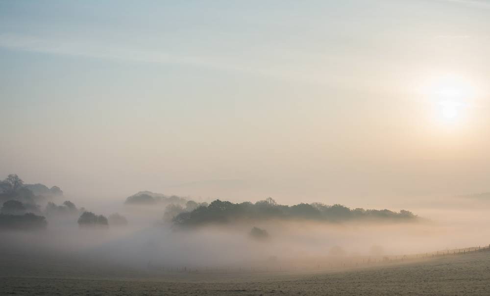 Leserfoto: Morgens auf den Südhöhen