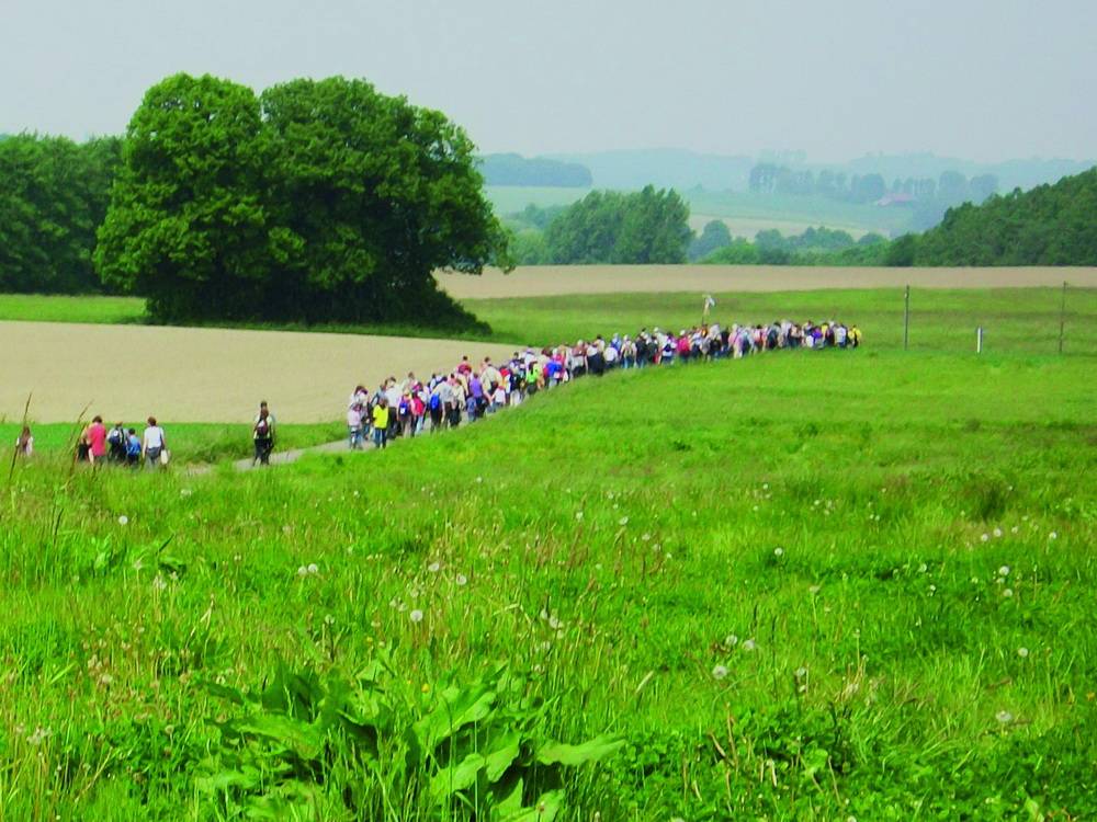  Die Strecke führt durch die Natur. 