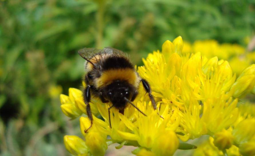 Spektakuläre Aufnahmen