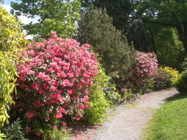 Leserfoto: Einen Mai-Spaziergang ...