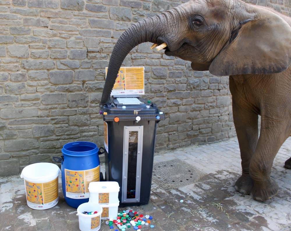  Jeder kann mitmachen. 