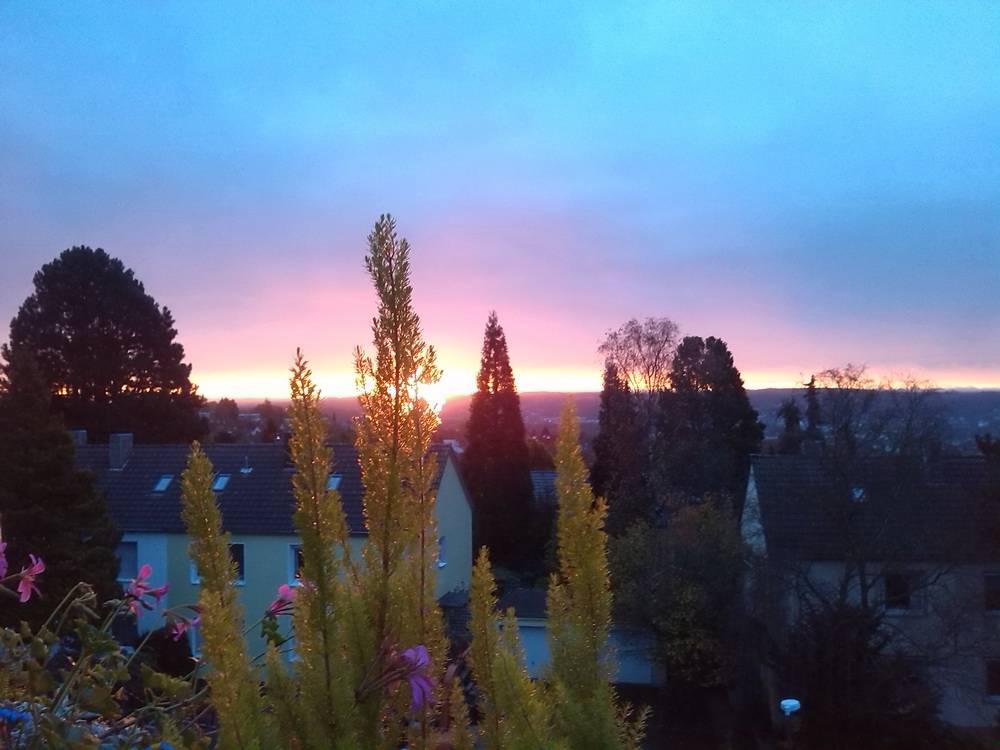 Leser-Foto: Der Morgen erwacht