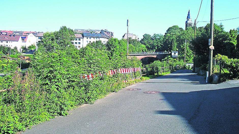 Zaun marode, Bäume weg