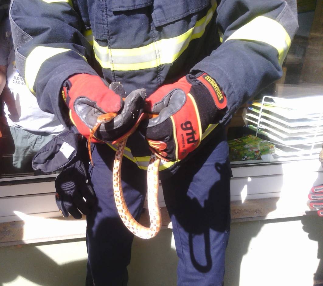  Ende eines Ausflugs ... 