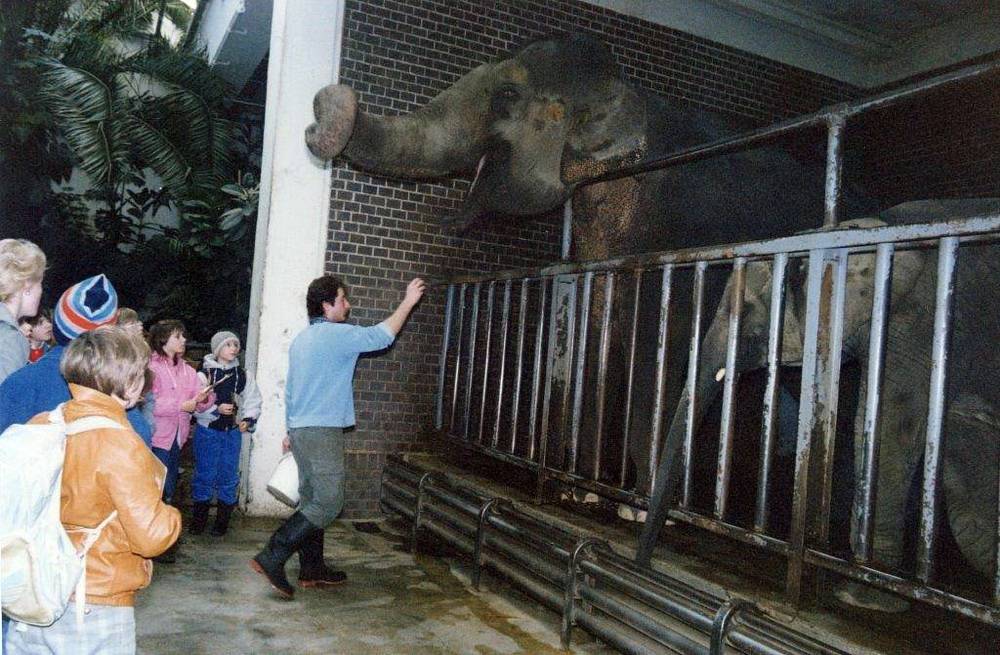 Ehemaliges Elefantenhaus öffnet die Pforten