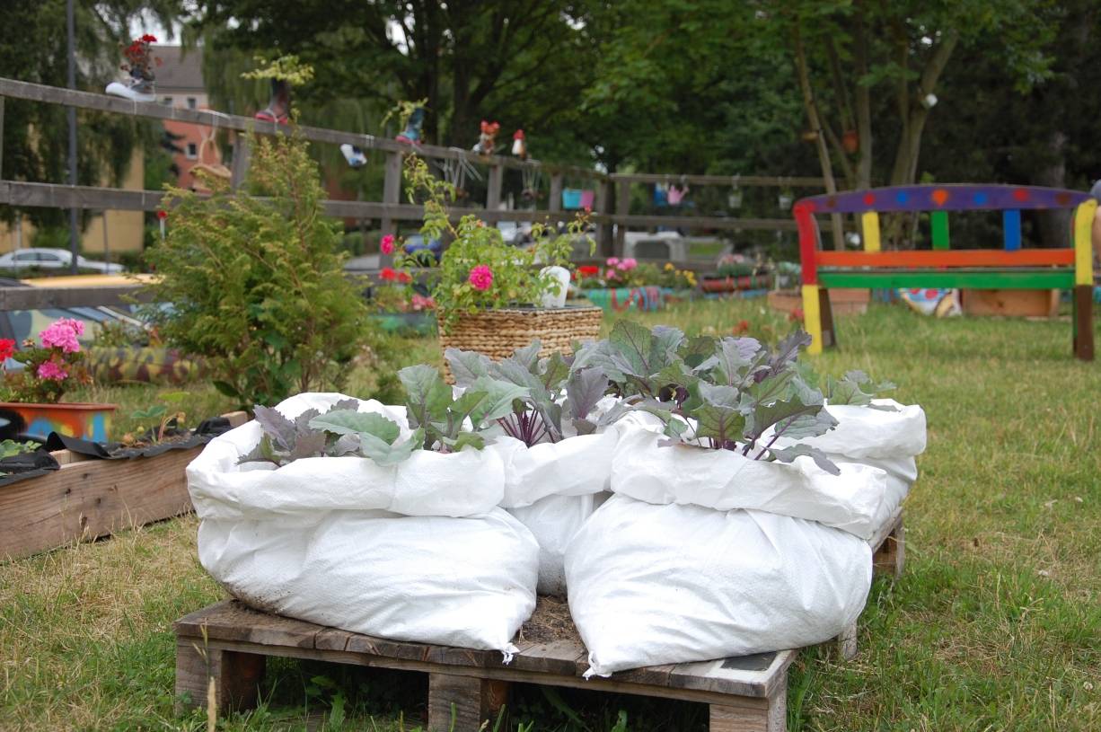  Das „EssBar“-Fest im Mitmachgarten auf der Hilgershöhe steigt am Sonntag (20. September 2015): Ab 12 Uhr ernten und kochen die am Projekt teilnehmenden Kinder selbst angepflanztes Obst und Gemüse. Um 15 Uhr steht dann ein gemeinsames Essen auf dem Plan. 