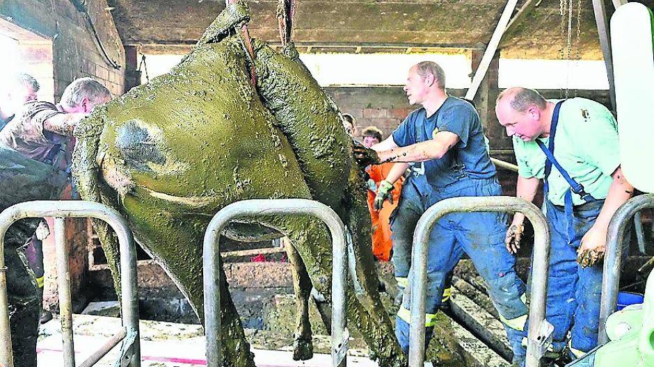 "Mutter und Kind wohlauf!"