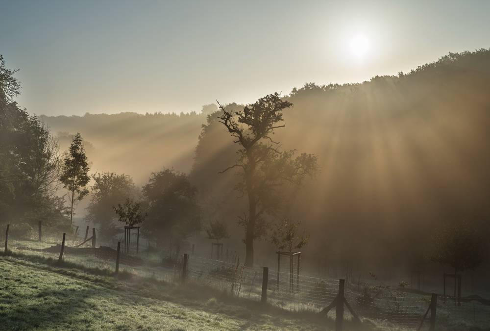  Ein Anblick wie aus einem Rosamunde-Pilcher-Film ... 