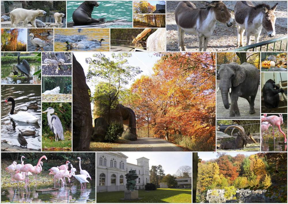 Bei herrlichem Herbstwetter...