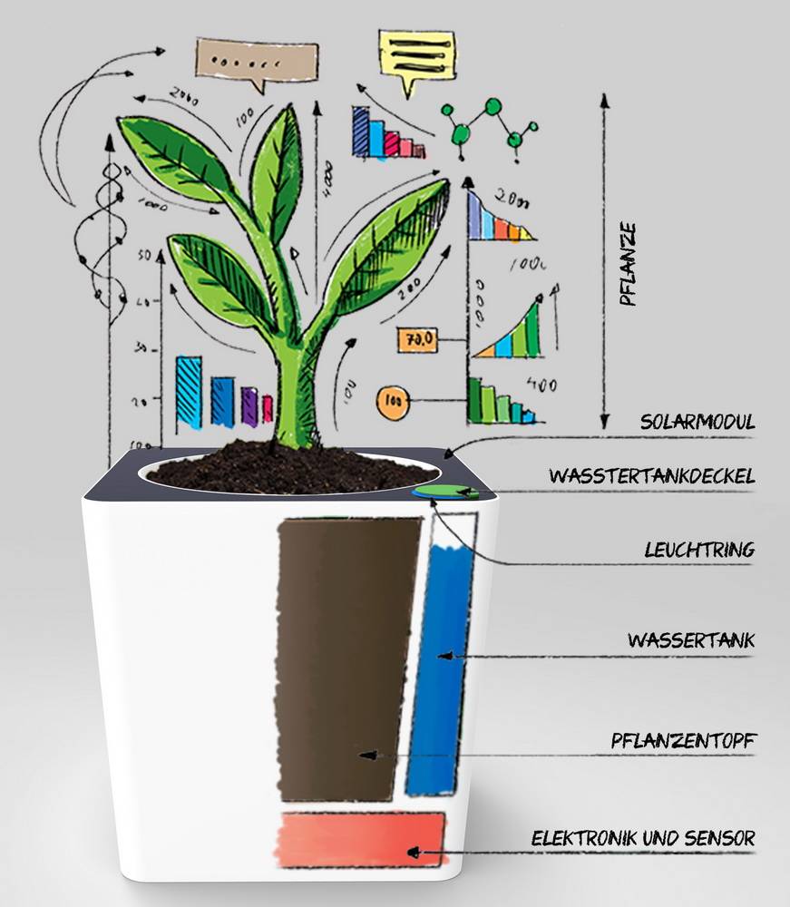 Wuppertaler "FlowerNanny" gewinnt Preis