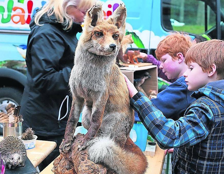  In der STNU gab es viel zu entdecken. 
