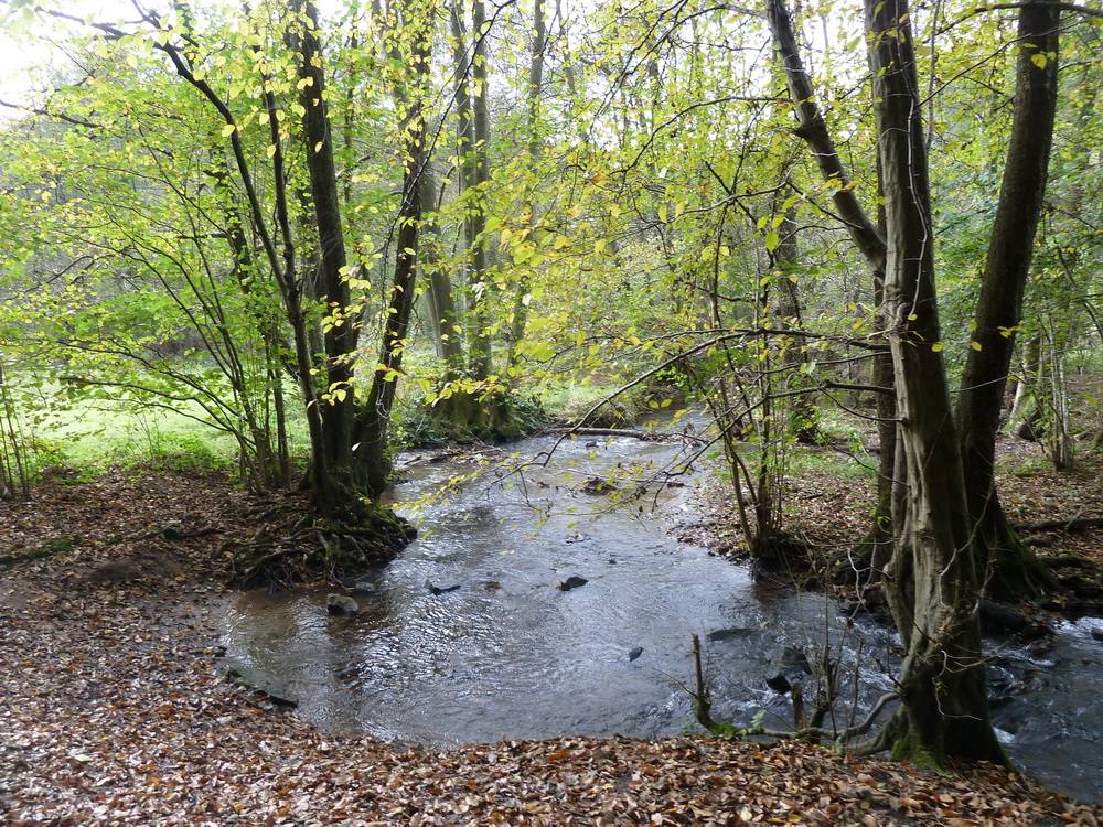 Sonne, Nebel und Regen