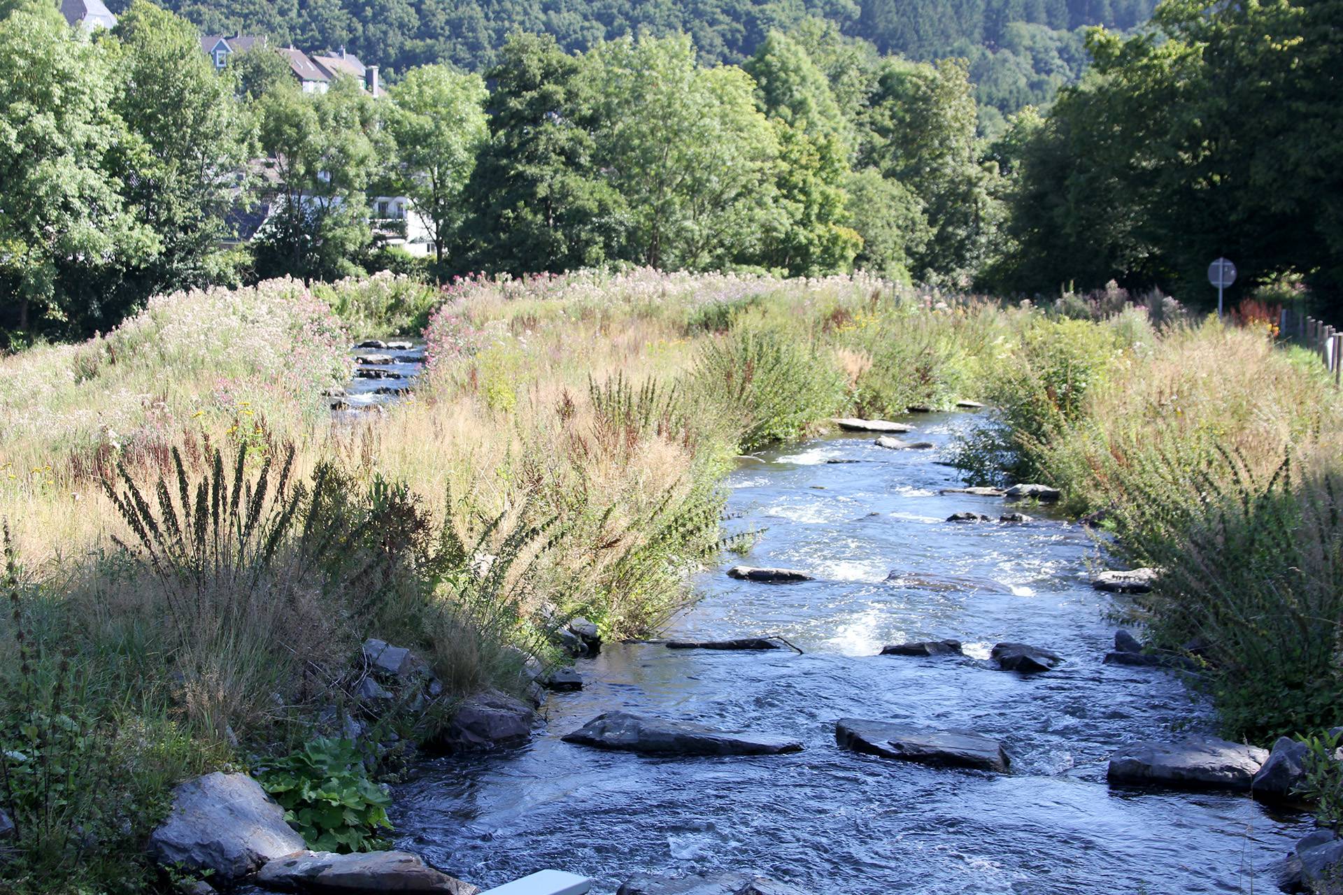  Der Fischaufstieg an der Wupper am Wehr des Stausees Beyenburg: 