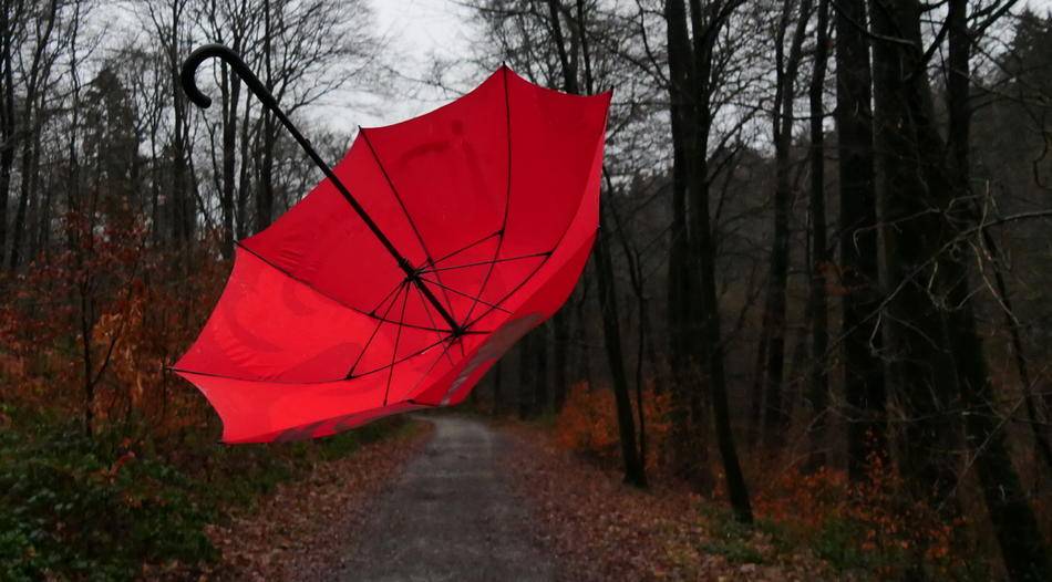 Ein Regenschirm tanzt im heftigen Wind.