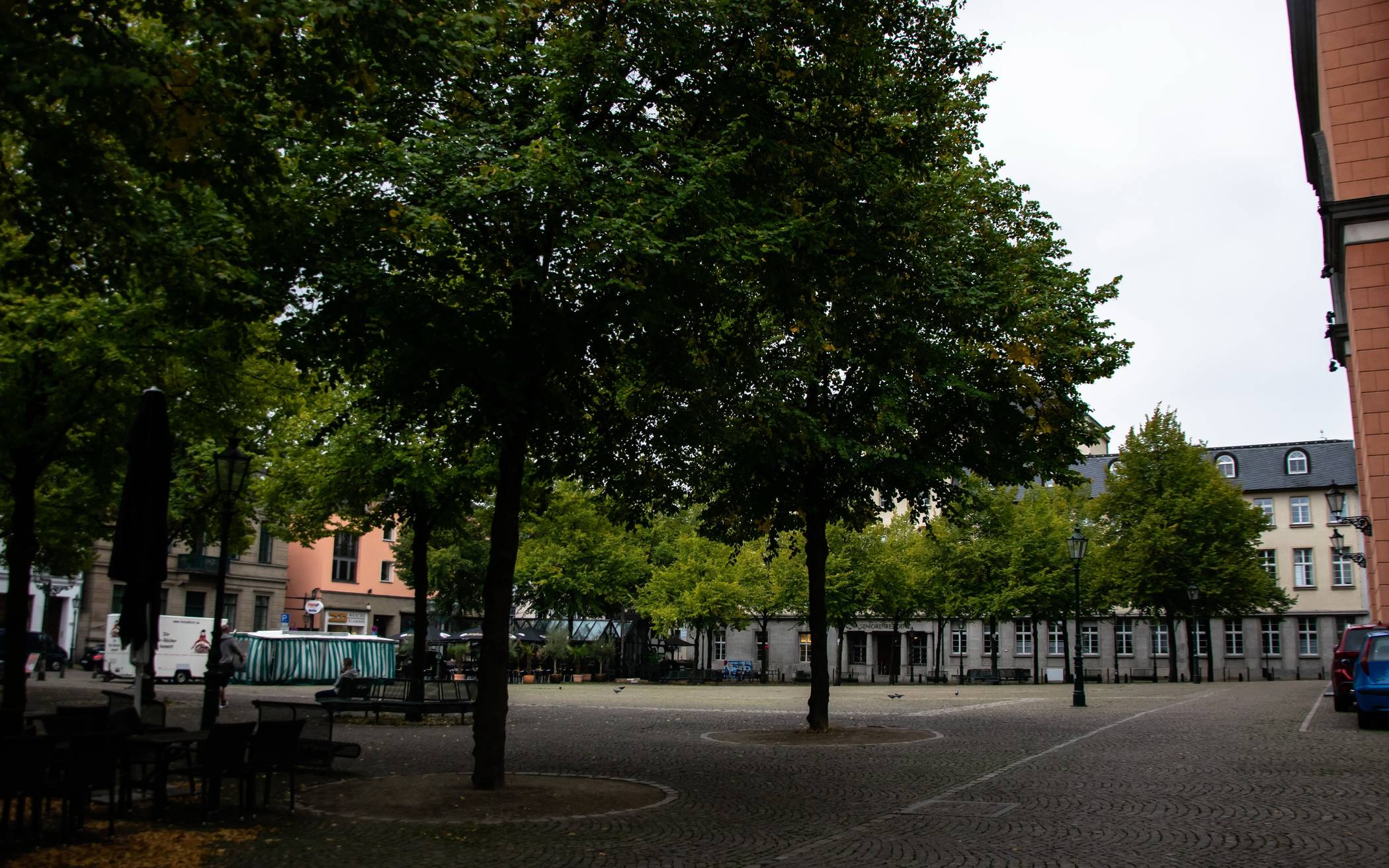  Die Bäume auf dem Platz vor der Laurentiuskirche. 