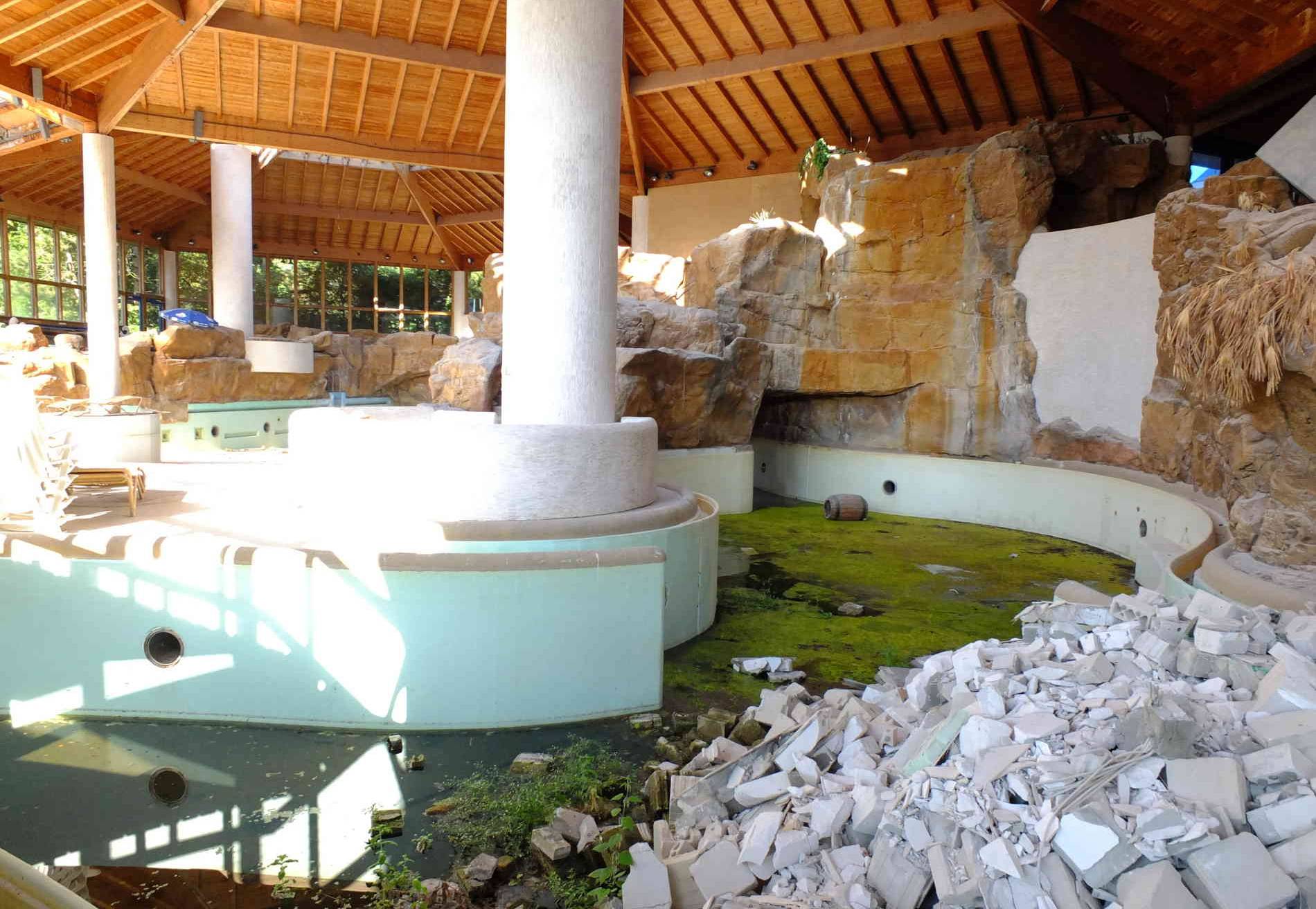  Kein kristallklares Wasser, nur grüne Bracke füllt die Becken des ehemaligen Spaßbades Bergische Sonne. Bis 2020 plant die Stadt den Abriss des Gebäudes.  