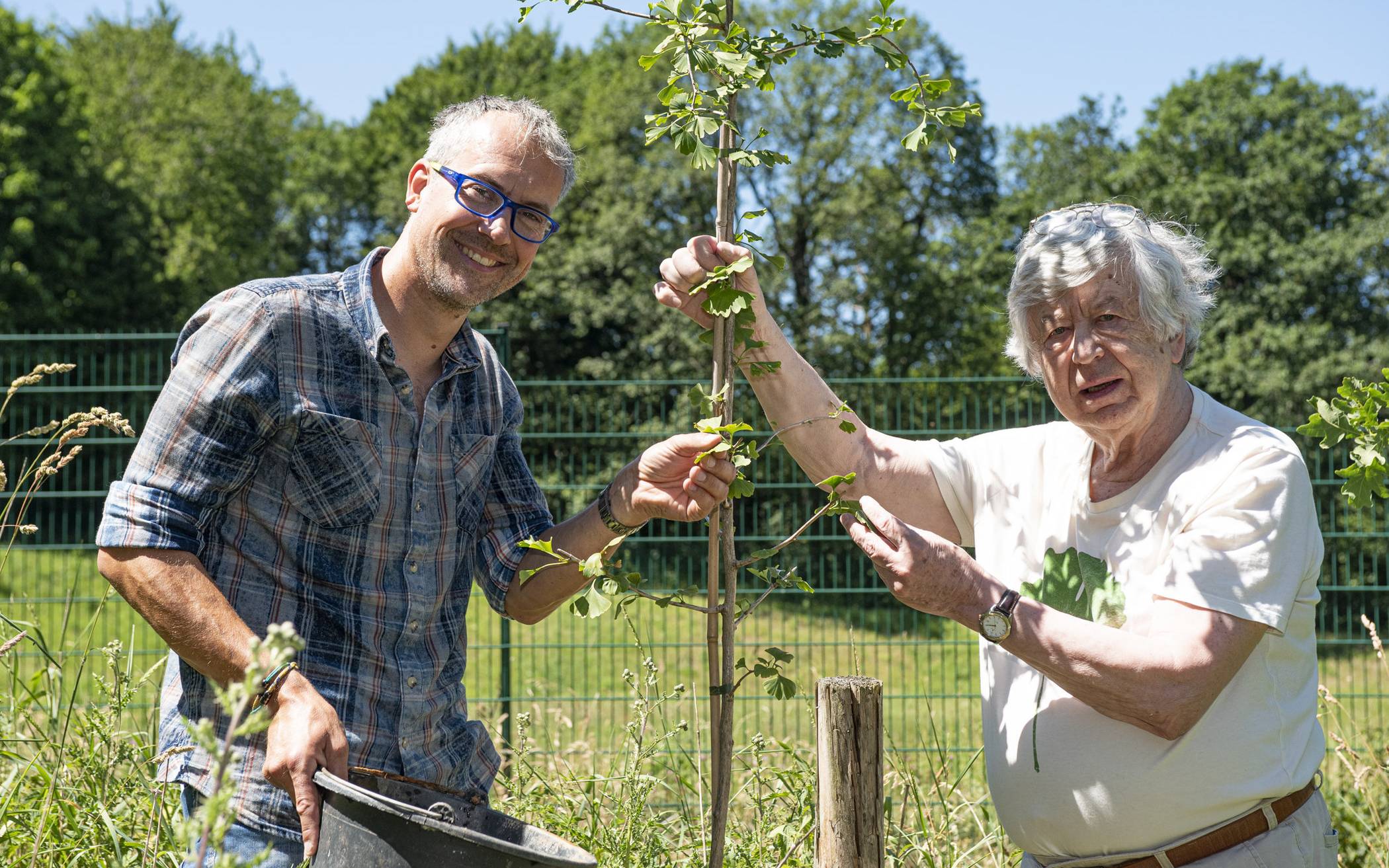  Klaus Stiebeling (rechts) und Christian Stein wollen am Scharpenacken eine Ginkgo-Allee pflanzen. 