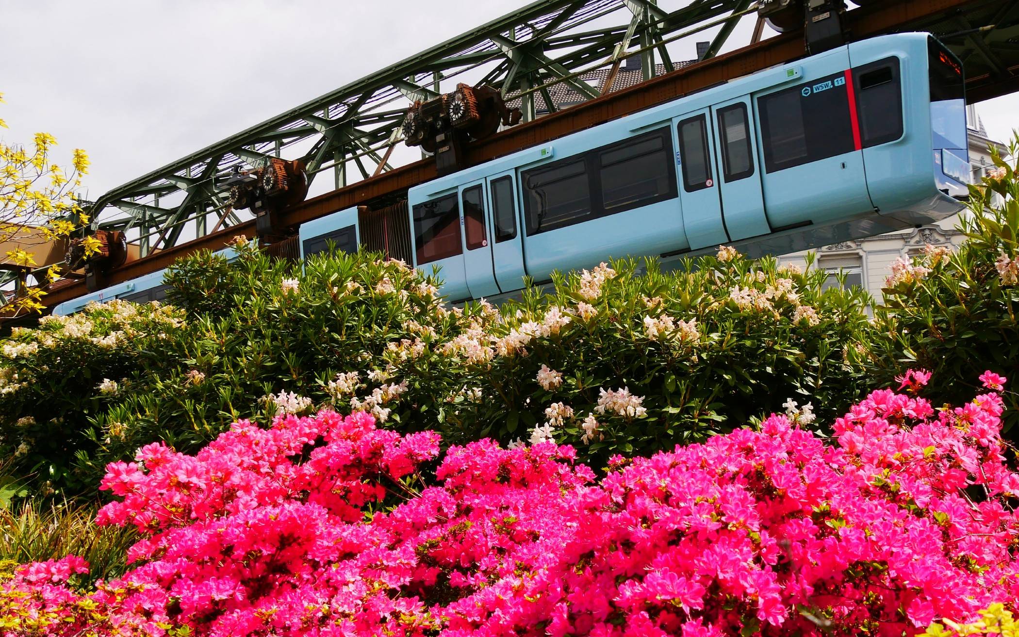 So romatisch kann eine Schwebebahnfahrt gar