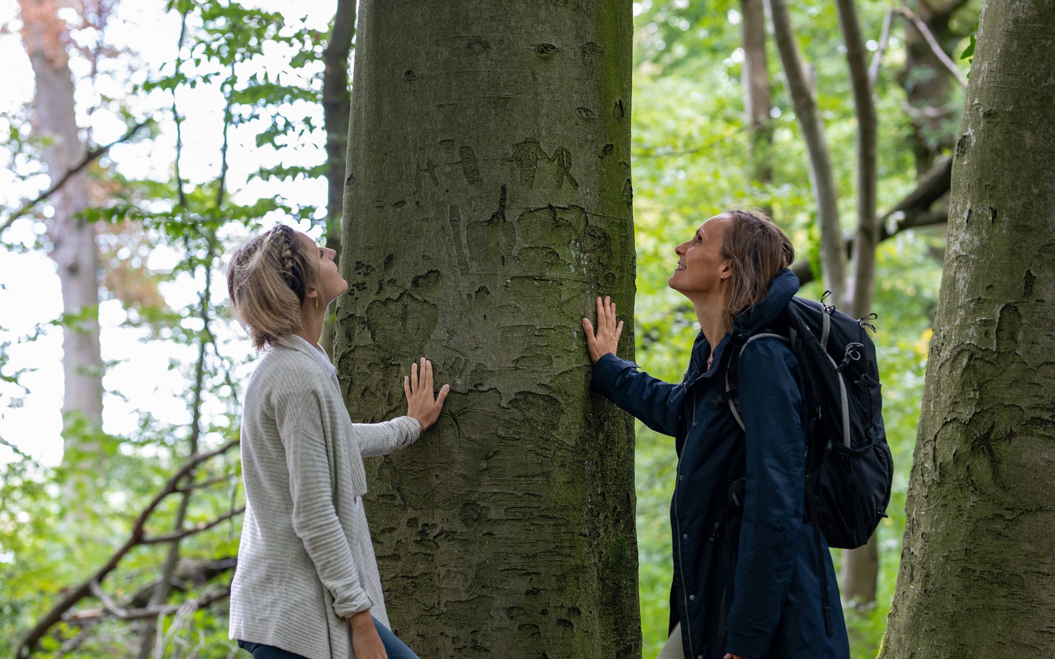 Wie fühlt sich die Rinde der Bäume an? Das Grün der Blätter wirkt beruhigend auf die Psyche ein, weiß Gesundheitsexpertin Nicole Drick.