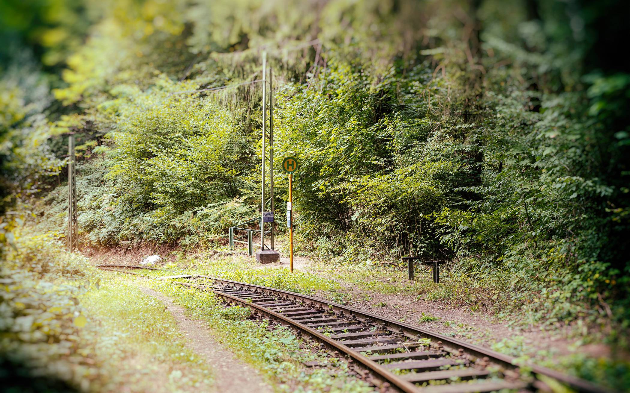„Zu einem attraktiven Tal gehört ein attraktiver Berg: Der Stadtteil Cronenberg“,...
