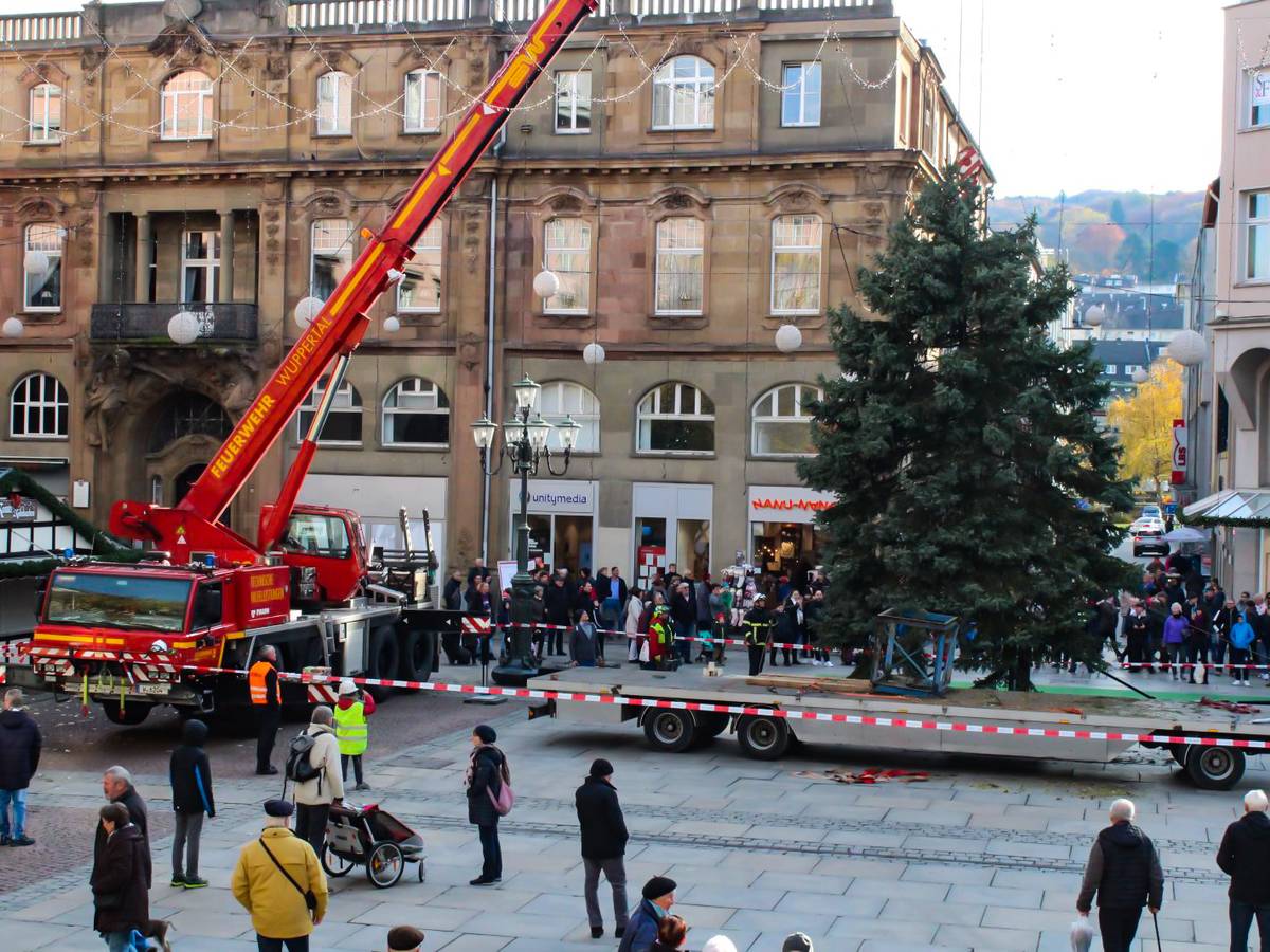 Der „offizielle“ Wuppertaler Weihnachtsbaum
