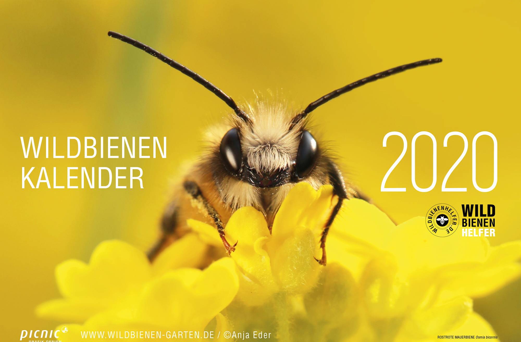 Der Wildbienen-Kalender von Anja Eder.