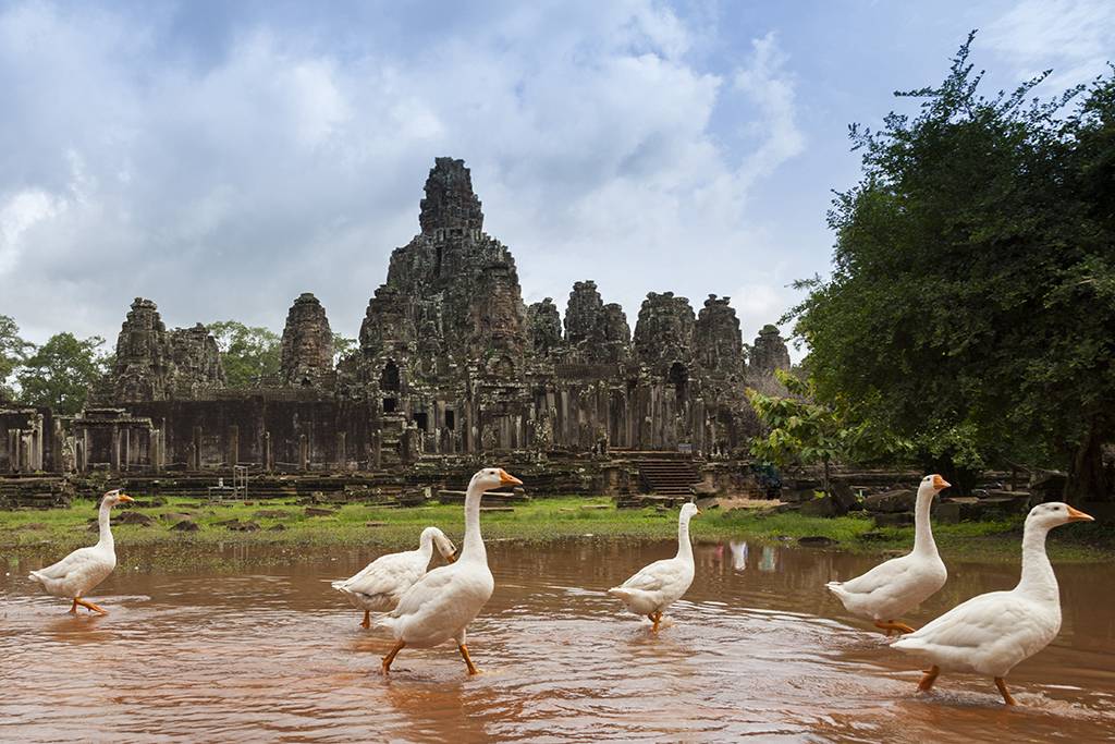 Der Bayon ist neben dem Angkor