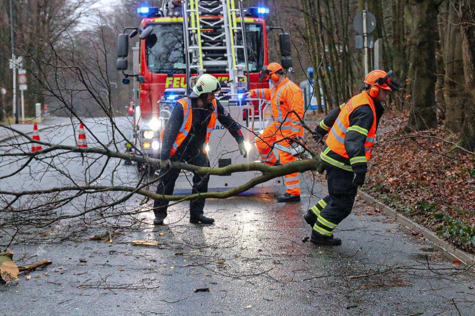 Sturm: Feuerwehr musste Baum fällen