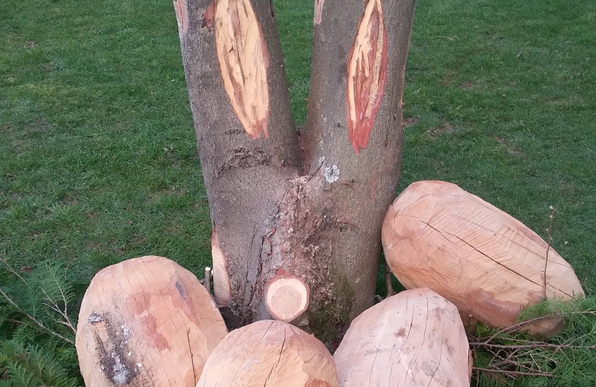  Aus Holz, aber gar nicht "hölzern": Der Osterhase im Vorwerk-Park 