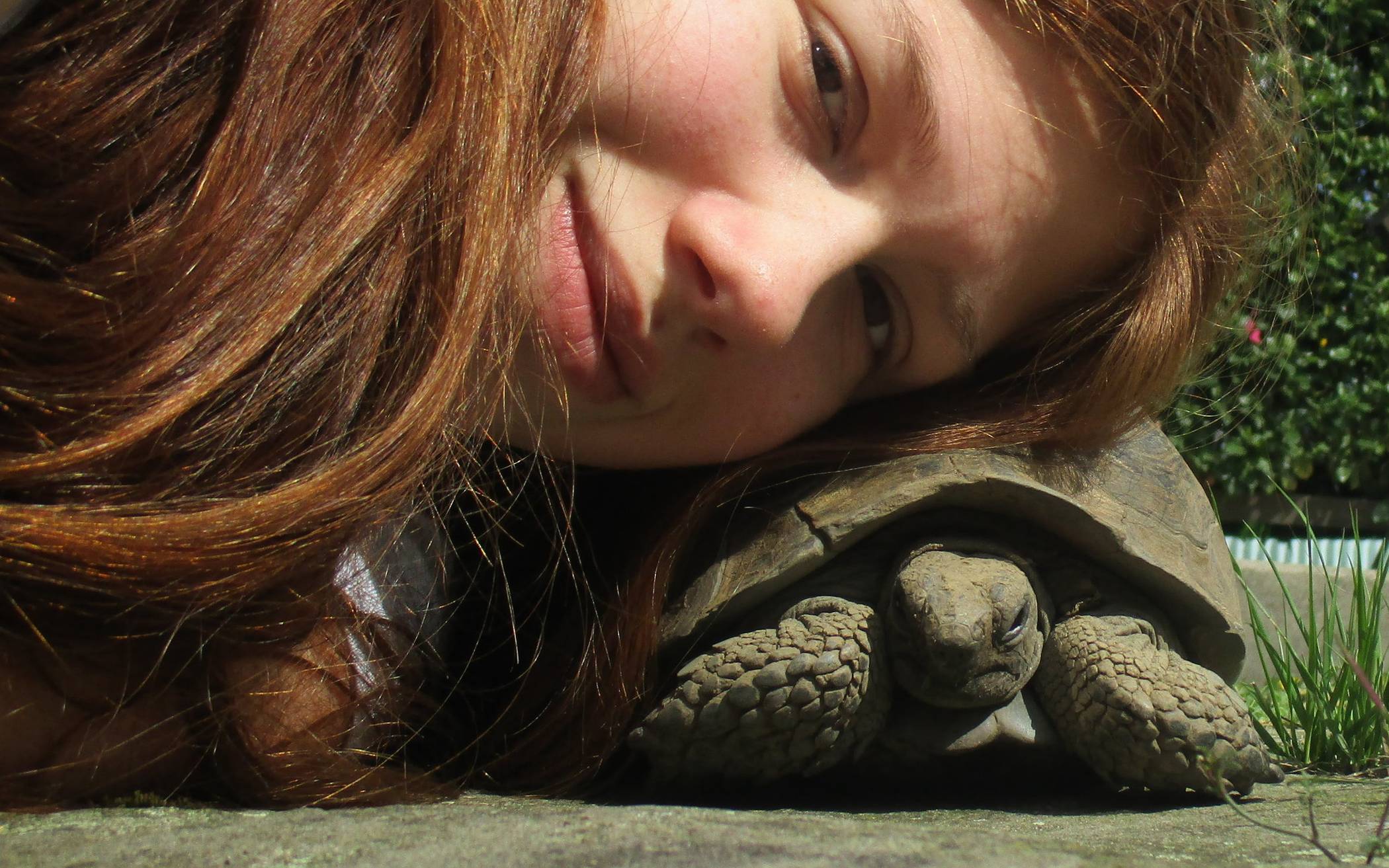  Schildkröte Lucy mit Pia Sofia Mattes. 