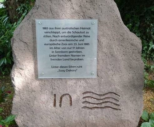 Der Gedenkstein in Sonnborn.