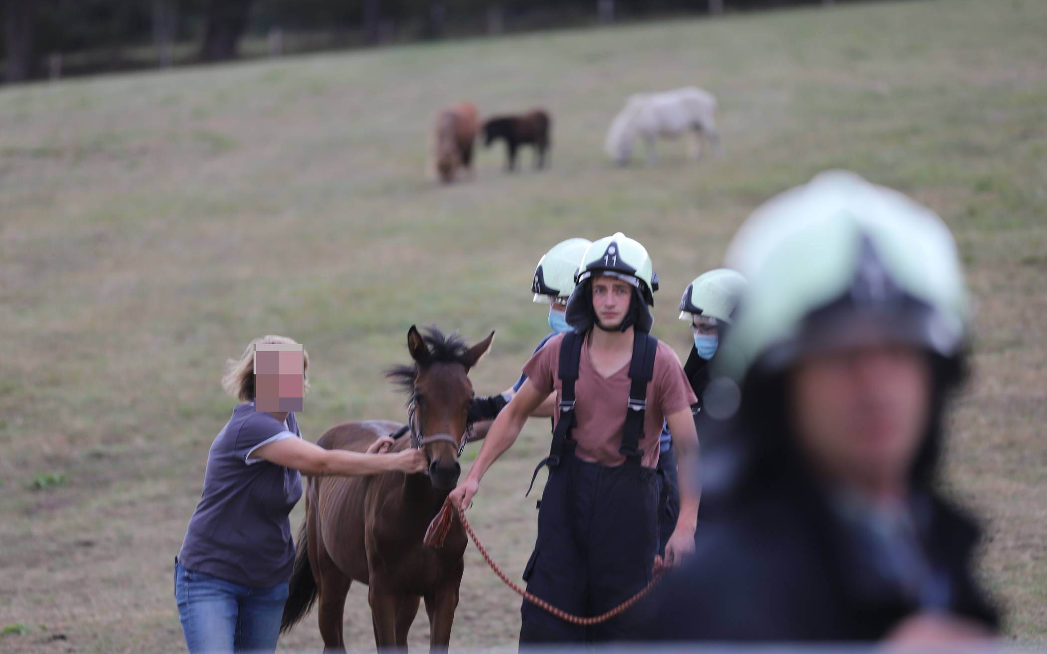 Ende eines turbulentesn Ausflugs.