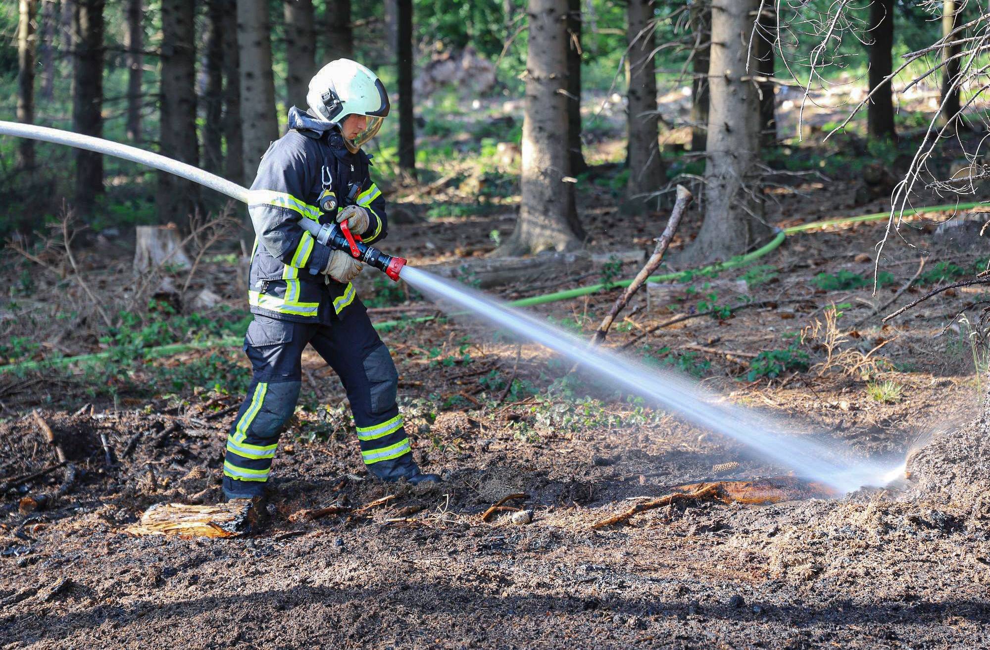 Feuerwehr verhinderte größeren Waldbrand